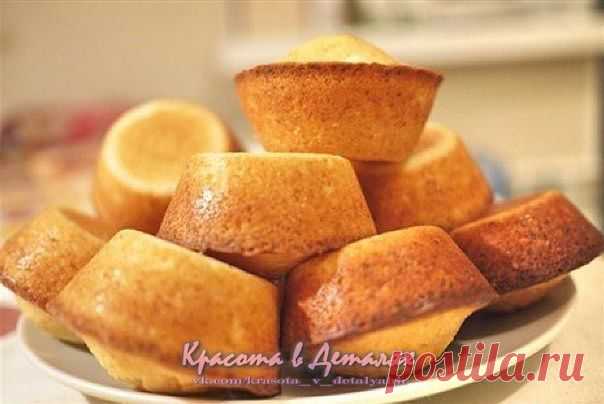 Мои закладки