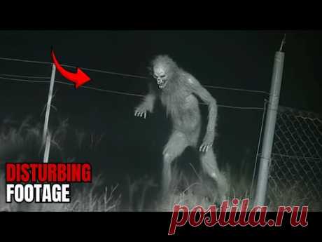 Trail Cam Reveals a Creature That Shouldn’t Exist