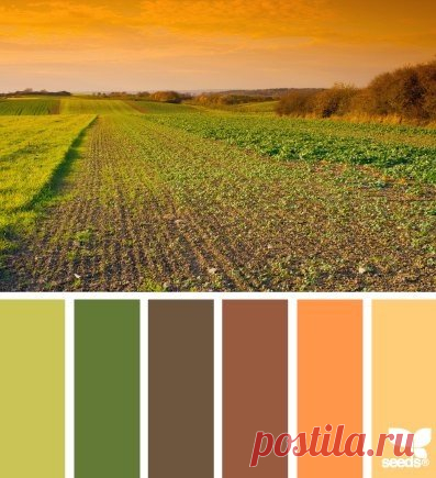 wpid-cvetovye-sochetaniya_i_51.jpg (397×435)