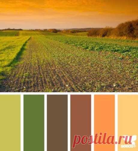 wpid-cvetovye-sochetaniya_i_51.jpg (397×435)
