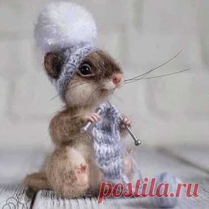 А из проблем свяжу я коврик... и буду ноги вытирать!