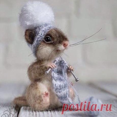 А из проблем свяжу я коврик... и буду ноги вытирать!