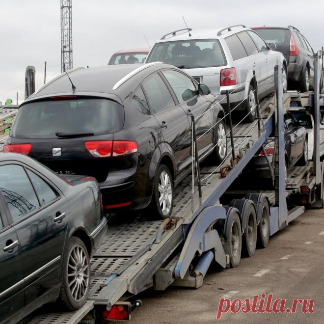 🚍 Транспортная компания по перевозке грузов и автомобилей
👀 Большой опыт 💨 Оперативная доставка 💝 Приятные цены
📆 Работаем круглосуточно, без выходных 📞 +7(495)988-79-95