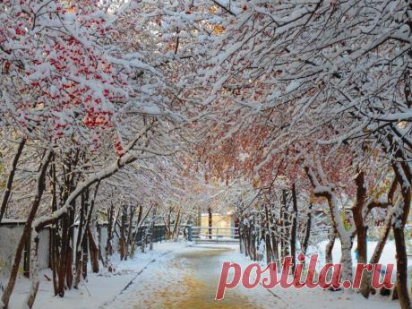 ФОТОМАСТЕРСКАЯ ПРИРОДЫ
Наталья Неупокоева (Соловьева)