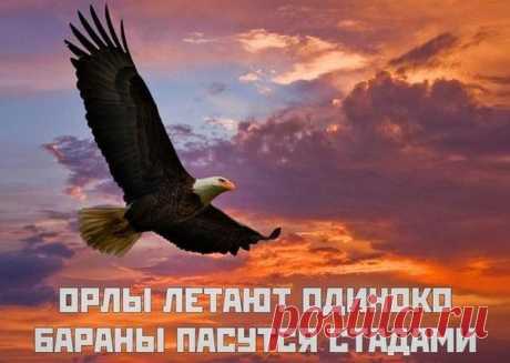 Теория успеха | Группы Мой Мир