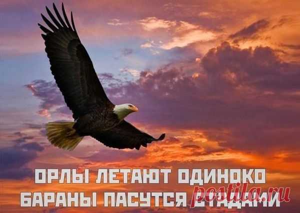 Теория успеха | Группы Мой Мир