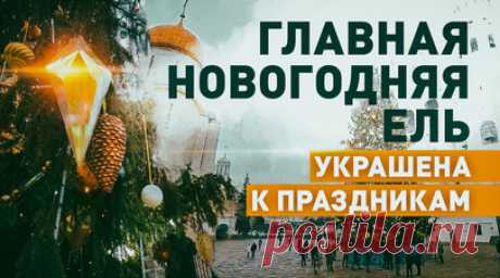Два километра гирлянд и больше 2500 игрушек: в Кремле украсили главную новогоднюю ёлку России. Главную новогоднюю ёлку России, установленную на Соборной площади в Кремле, украсили более чем 2500 новогодних игрушек и 2,5 км гирлянд. Особое внимание уделили маленьким украшениям. Шары и снежинки смогли повесить даже на самые тонкие веточки дерева. В оформлении также использованы 150 светодиодных элементов, в том числе сосульки с эффектом бегущего света и мерцающие подвески. 90-летнее дерево…
