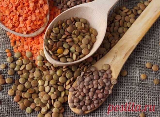 МЕДИКИ ПЕРЕЧИСЛИЛИ 10 ПРОДУКТОВ, КОТОРЫЕ МОЖНО И НУЖНО ЕСТЬ НА НОЧЬ - ОЧЕНЬ ПОЛЕЗНАЯ ИНФОРМАЦИЯ
