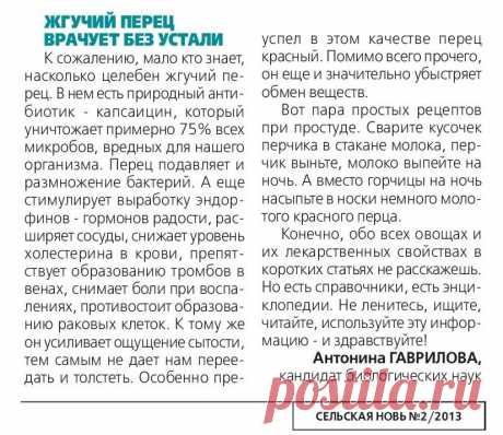 Жгучий перец врачует без устали