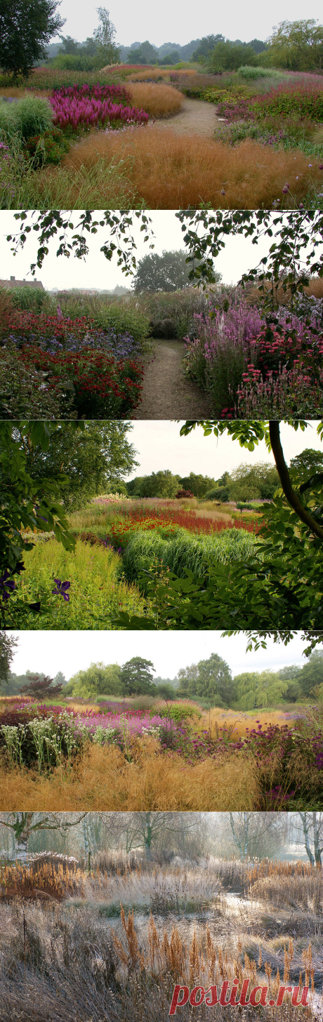 Pensthorpe - Piet Oudolf