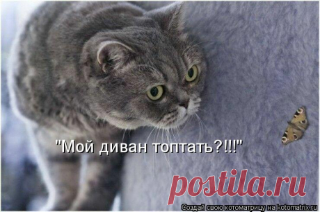 Котоматрица: Случайные котоматрицы