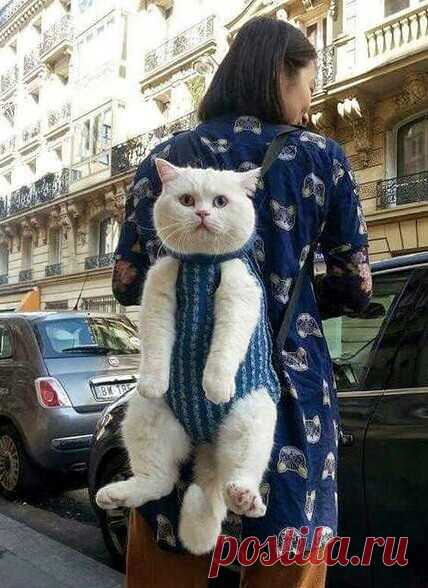 С любимыми, не расставайтесь !