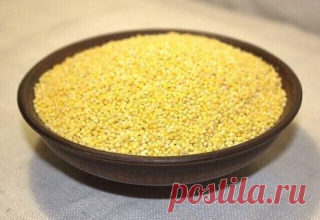 ТЕПЕРЬ МАЛО КТО ЗНАЕТ, ЧТО ПШЕНО ЛЕЧИТ ПРАКТИЧЕСКИ ВСЁ — ОТ ОЖИРЕНИЯ ДО ТРОМБОФЛЕБИТА.
    Теперь мало кто знает, что пшено лечит практически всё — от ожирения до тромбофлебита. Делимся с вами рецептами, чтобы доказать: одна упаковка пшена стоит столько же, сколько целая аптечка. И хорошо, что не в денежном эквиваленте!
 1) Лечит стенокардию
 Сердечный приступ — основная причина смерти во всём мире, а стенокардия — предвестник ишемической болезни сердца. Вот почему с «грудной жабой» нужно вести