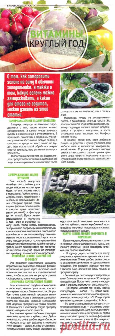 Как заморозить зелень на зиму