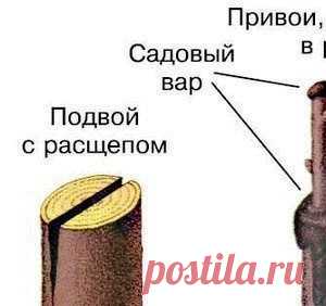 Наиболее популярные новости - МирТесен
