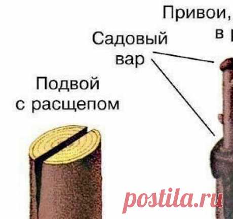 Наиболее популярные новости - МирТесен