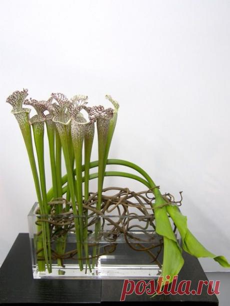 Pinterest: инструмент для поиска и хранения интересных идей