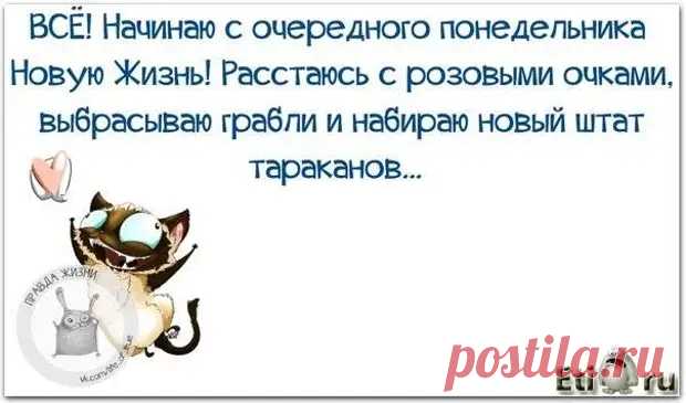 Правдивые цитаты с веселыми картинками - Не всё так грустно - медиаплатформа МирТесен
