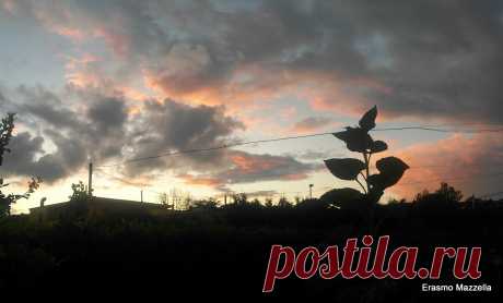 35PHOTO - Erasmo Mazzella - Senza Titolo