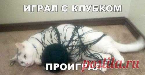 Такие прикольные фотомемы!