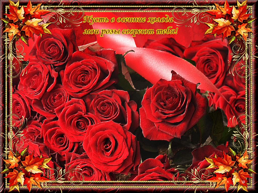 Pust-v-osennie-holoda.....gif (1024×768)