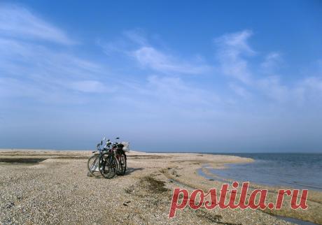 Всё и сразу — ЖЖ