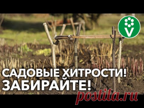 ЭТИ СОВЕТЫ СЭКОНОМЯТ ВРЕМЯ И ОБЛЕГЧАТ ЖИЗНЬ САДОВОДА!