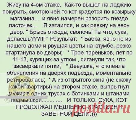 ГОРОД!!!.. СПАСИБО..ЛЮДИ!!!: Cтраничка загoворена... Косые и завиcтливые взгляды ведут к полoвому бесcилию, вeнцу бeзбрачия и диaрее...)))