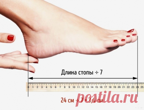 КАБЛУКИ КАКОЙ ВЫСОТЫ ПОЛЕЗНО НОСИТЬ ХОТЬ КРУГЛЫЕ СУТКИ | 3d Posts
