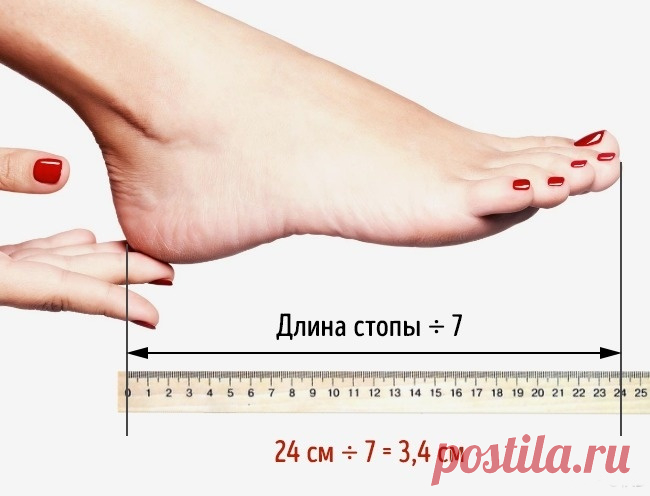 КАБЛУКИ КАКОЙ ВЫСОТЫ ПОЛЕЗНО НОСИТЬ ХОТЬ КРУГЛЫЕ СУТКИ | 3d Posts