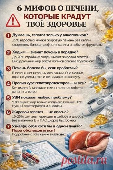 6 мифов о печени, которые крадут твое здоровье
