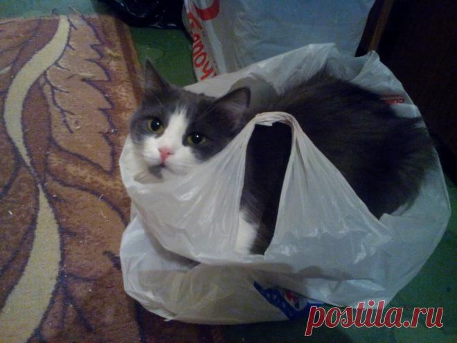 Удачная покупка