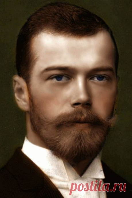 Медведев Николай 2 - Живые фотографии - Анимационные блестящие картинки GIF