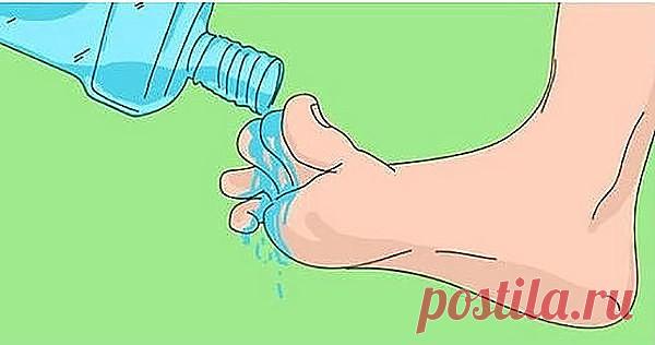 (55) Одноклассники