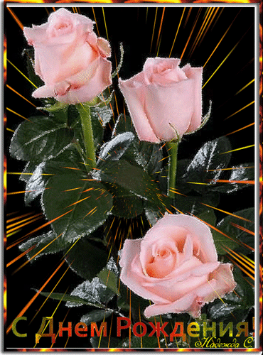 ༺🌸༻