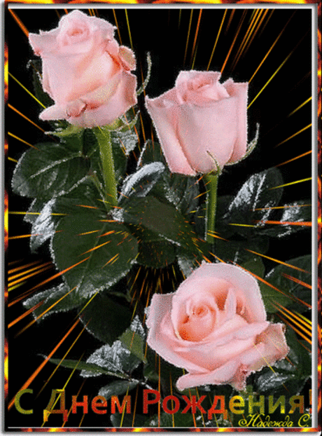 ༺🌸༻