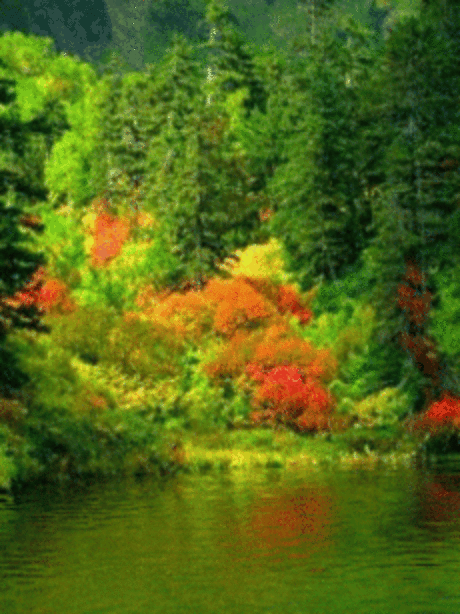 моря и реки