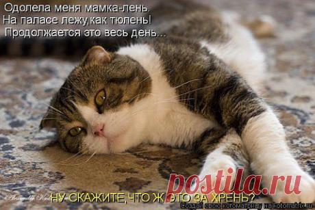 Всем приятного Дня! - Gregorian - &quot;5минутка&quot; - nkl53@mail.ru - Почта Mail.Ru