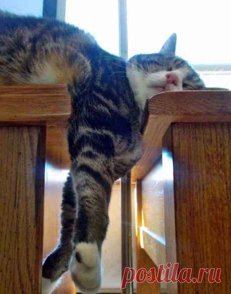 Спит? Нет, йогой занимается :)