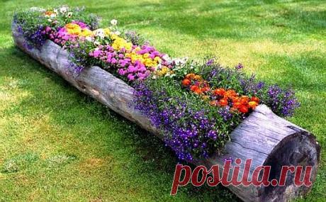 18 замечательных идей для вашей дачи