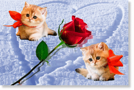 Мой Мир@Mail.Ru