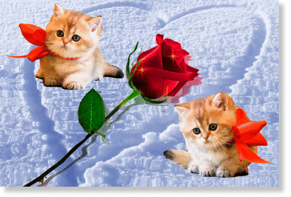 Мой Мир@Mail.Ru