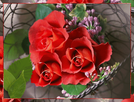 568969.gif (1082×826)
