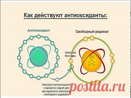 Окислительный стресс: 10 продуктов с зашкаливающим антиоксидантным статусом
Приветствую! Ты на канале Wolf Fit! У всех на слуху модное понятие “окислительный стресс”, простыми словами оно означает противоборство свободных радикалов и антиоксидантов в организме. “Гуляя” по организму свободные радикалы повреждают клетки, а если в организме еще мало “стражи” ( антиоксидантов) то, считай ущерб...
Читай дальше на сайте. Жми подробнее ➡