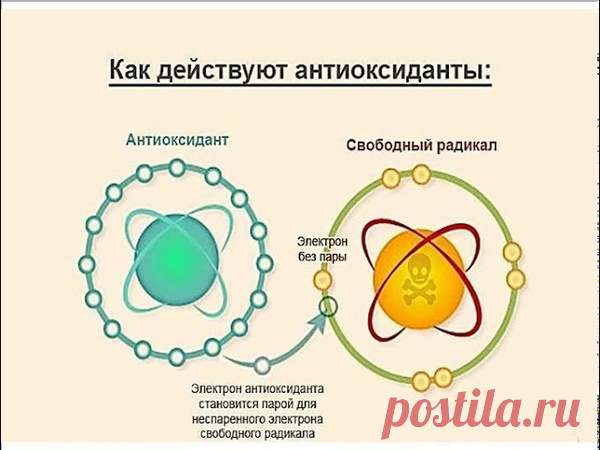 Окислительный стресс: 10 продуктов с зашкаливающим антиоксидантным статусом
Приветствую! Ты на канале Wolf Fit! У всех на слуху модное понятие “окислительный стресс”, простыми словами оно означает противоборство свободных радикалов и антиоксидантов в организме. “Гуляя” по организму свободные радикалы повреждают клетки, а если в организме еще мало “стражи” ( антиоксидантов) то, считай ущерб...
Читай дальше на сайте. Жми подробнее ➡