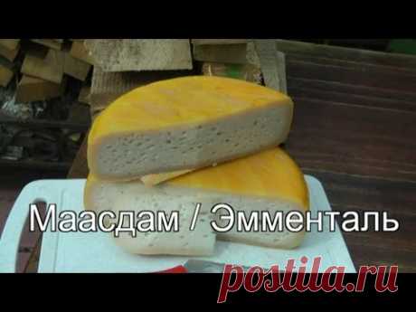 Маасдам/Эмменталь учебное видео - YouTube