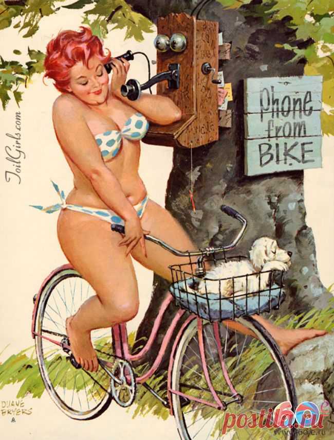 Мой блог: Хильда - очаровательная толстушка