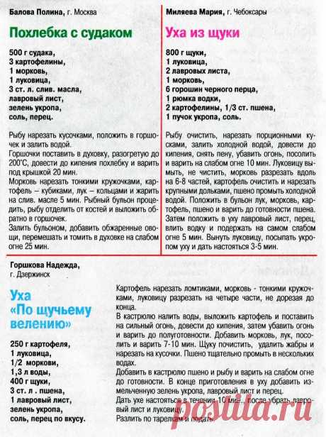 Похлебка с судаком. Уха из щуки