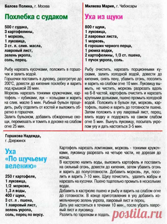 Похлебка с судаком. Уха из щуки