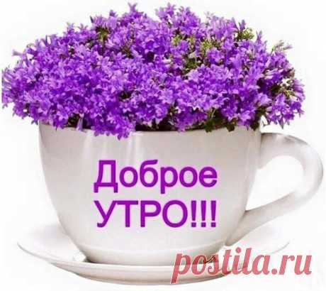 Доброе утро. Пусть новый день принесет новые радости, прекрасное настроение и счастье!